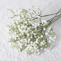 Paniculata eterna · Tallos para tu mesa